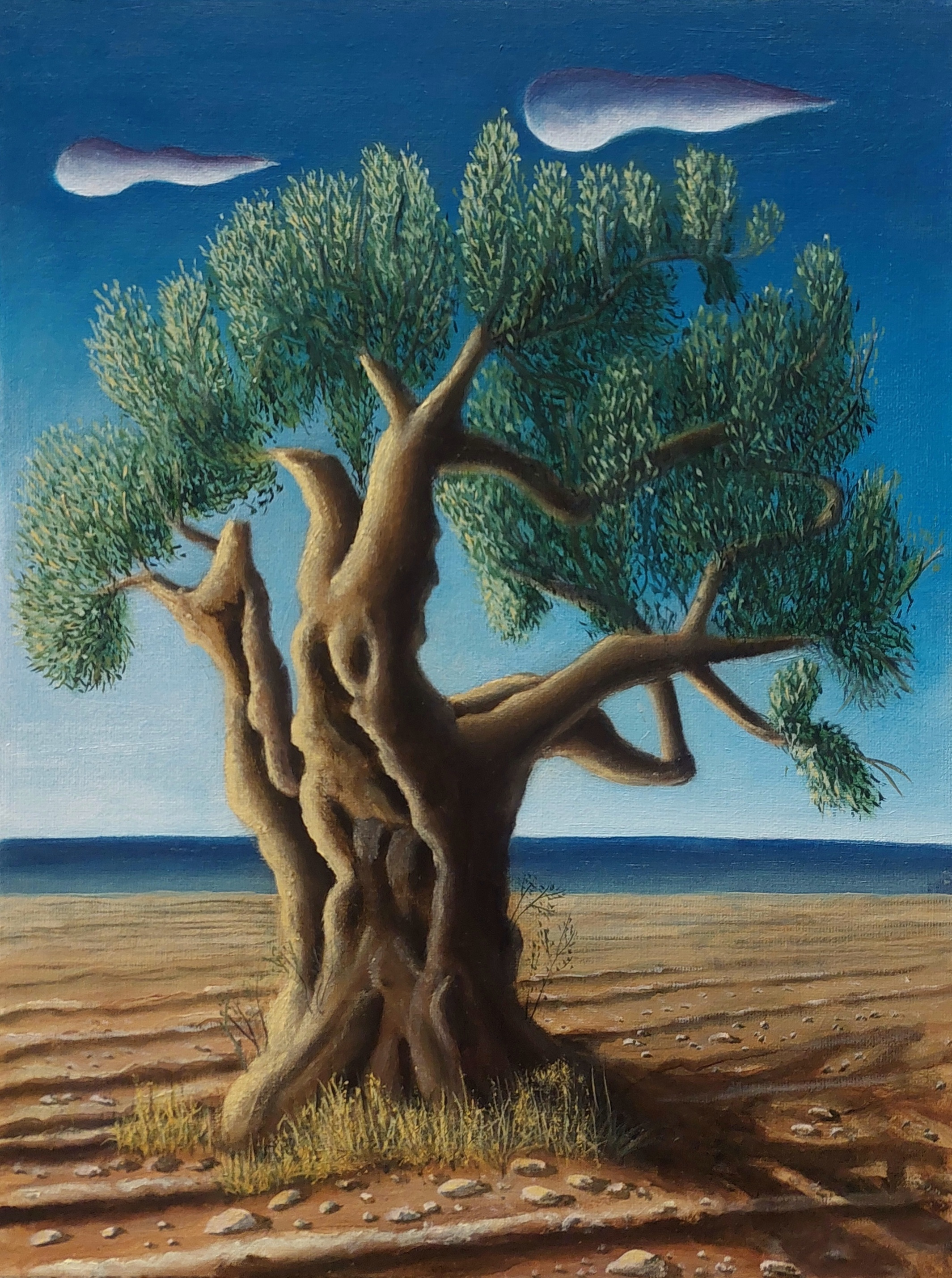 Painting by Christos Ghionis: Keratokampos Olive Tree, 2025